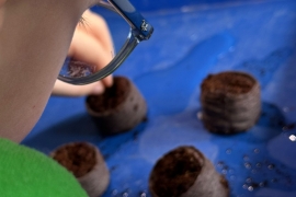 Kind pflanzt Samen in die Erde