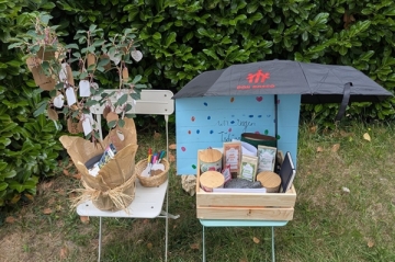 Zaubernuss-Baum mit Anh&auml;ngern und eine Geschenk-Kiste